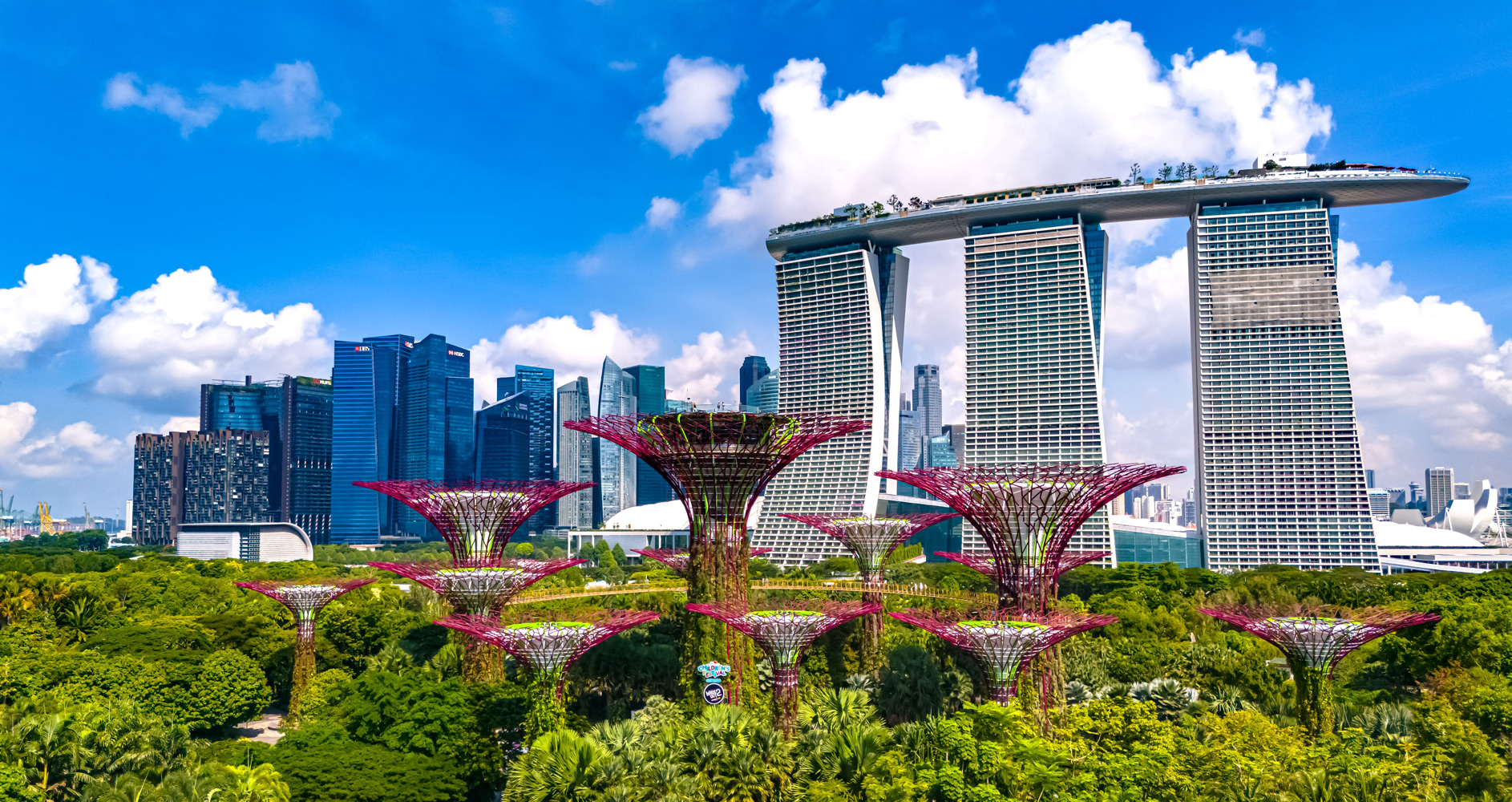 Oman Air announces Muscat–Singapore service 